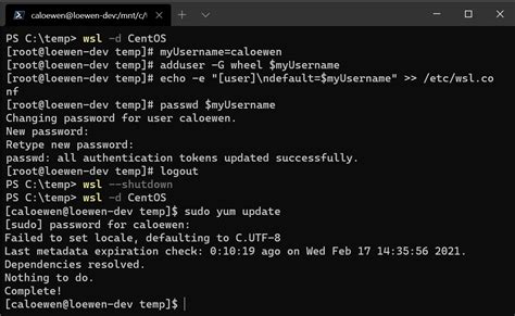 File Permissions for WSL .